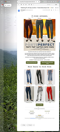 email-pants
