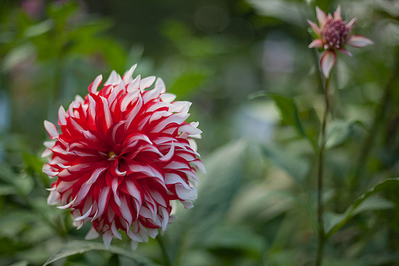IMG_1122